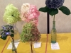 hydrangeas_group_IMG_2919