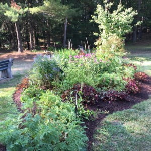 butterfly-garden-nobscot-park-3
